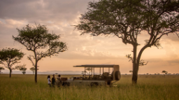 Wildbeobachtungsfahrt der Singita Faru Faru River Lodge in Tansania | Abendsonne Afrika
