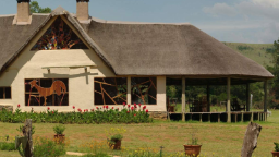 Blick auf das Antbear Guest House in Südafrika | Abendsonne Afrika