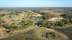 Luftaufnahme des Tubu Tree Camp in Botswana | Abendsonne Afrika