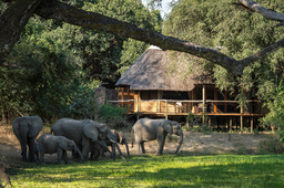 Elefantenherde vor dem Bilimungwe Bushcamp in Sambia | Abendsonne Afrika