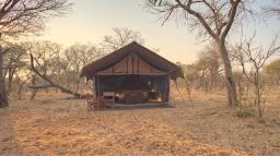 Zelt des Chobe under Canvas in Botswana | Abendsonne Afrika
