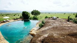 Pool der Apoka Safari Lodge in Uganda | Abendsonne Afrika