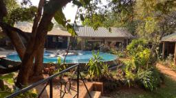 Pool im Shongwe Oasis in Simbabwe | Abendsonne Afrika