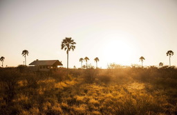 Außenansicht eines Zeltchalets im Camp Kalahari in Botswana | Abendsonne Afrika