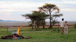 Abends im Serengeti View Camp in Tansania | Abendsonne Afrika