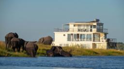 Elefanten im Fluss beim Chobe Princess Hausboot in Botswana | Abendsonne Afrika