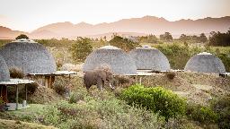 Gondwana Kwena Lodge, Südafrika | Abendsonne Afrika