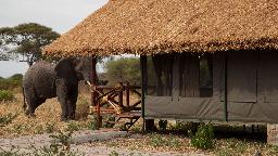 Chalet in der Tarangire Simba Lodge in Tansania | Abendsonne Afrika