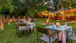 Garten in der Gecko Lodge in Südafrika | Abendsonne Afrika