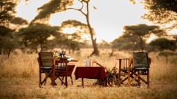 Honeyguide Tarangire Camp in Tansania | Abendsonne Afrika