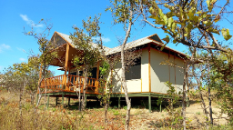 Tarangire View Camp in Tansania | Abendsonne Afrika