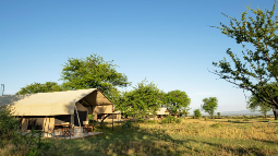 Zelt des Kati Kati Tarangire Camps in Tansania | Abendsonne Afrika