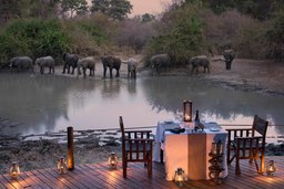 Dinner mit Elefanten im Kanga Camp in Simbabwe | Abendsonne Afrika 