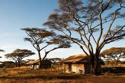 Zelte des Mara Under Canvas Tented Camp in Tansania | Abendsonne Afrika 