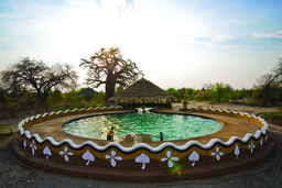 Pool der Planet Baobab Lodge in Botswana | Abendsonne Afrika
