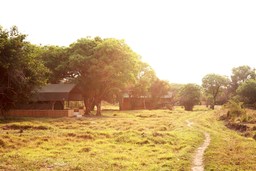 Außenbereich des Shoebill Island Camps in Sambia | Abendsonne Afrika