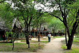 Anlage der Tarangire Safari Lodge in Tansania | Abendsonne Afrika