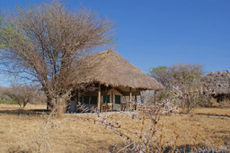 Zelt des Whistling Thorn Camp in Tansania | Abendsonne Afrika